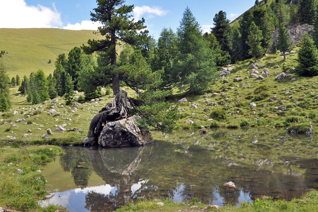 Mont Seura Val Gardena